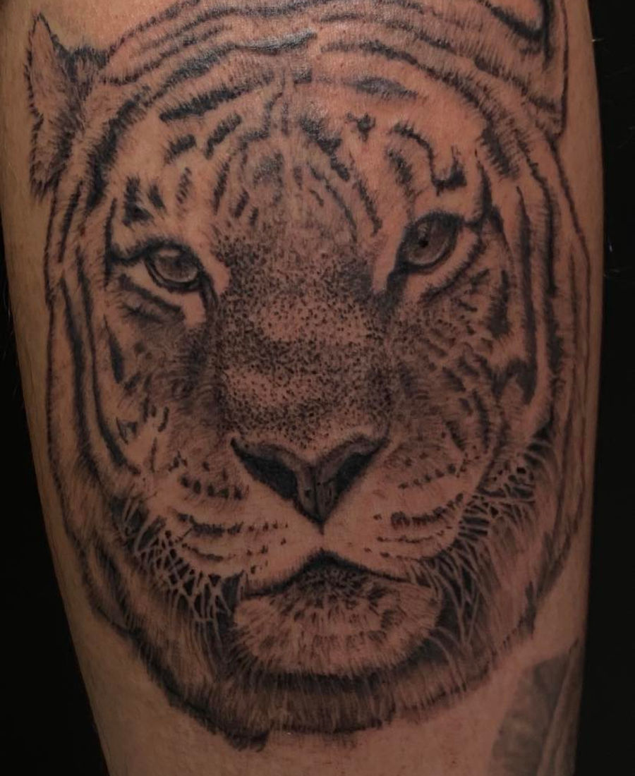 Black and grey realism tiger face