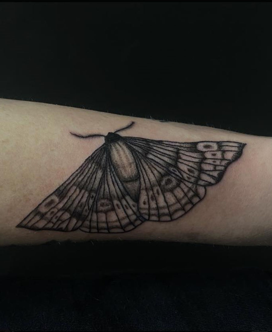 Blackwork moth tattoo on the forearm