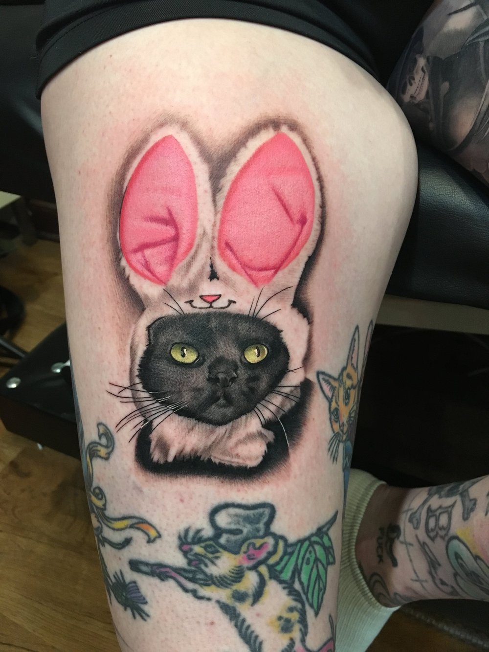 Color realism pet portrait of a black cat by Bill Byers, Worcester MA