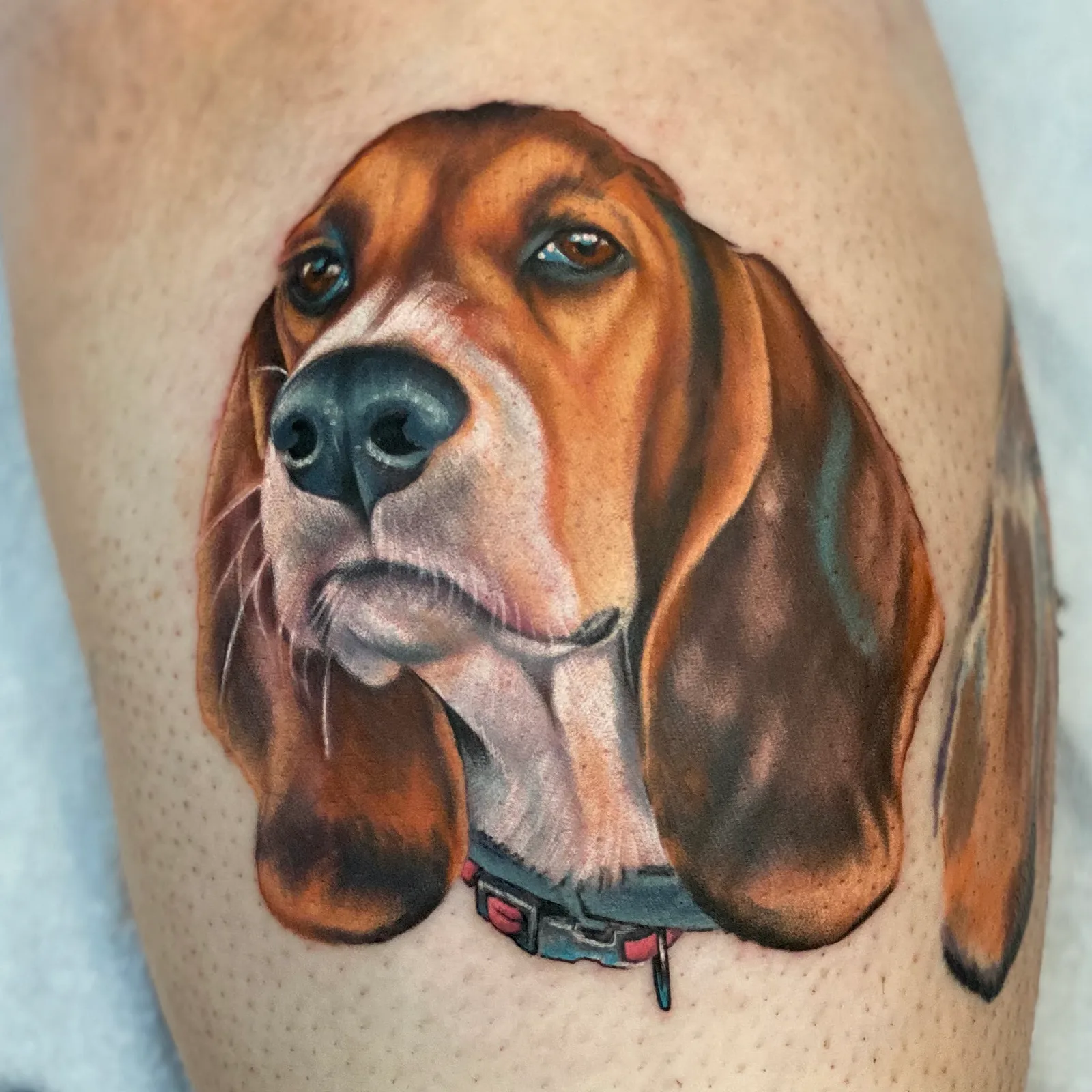 Custom tattoo by Horseshoes and Hand Grenades Tattoo, Chicopee Massachusetts
