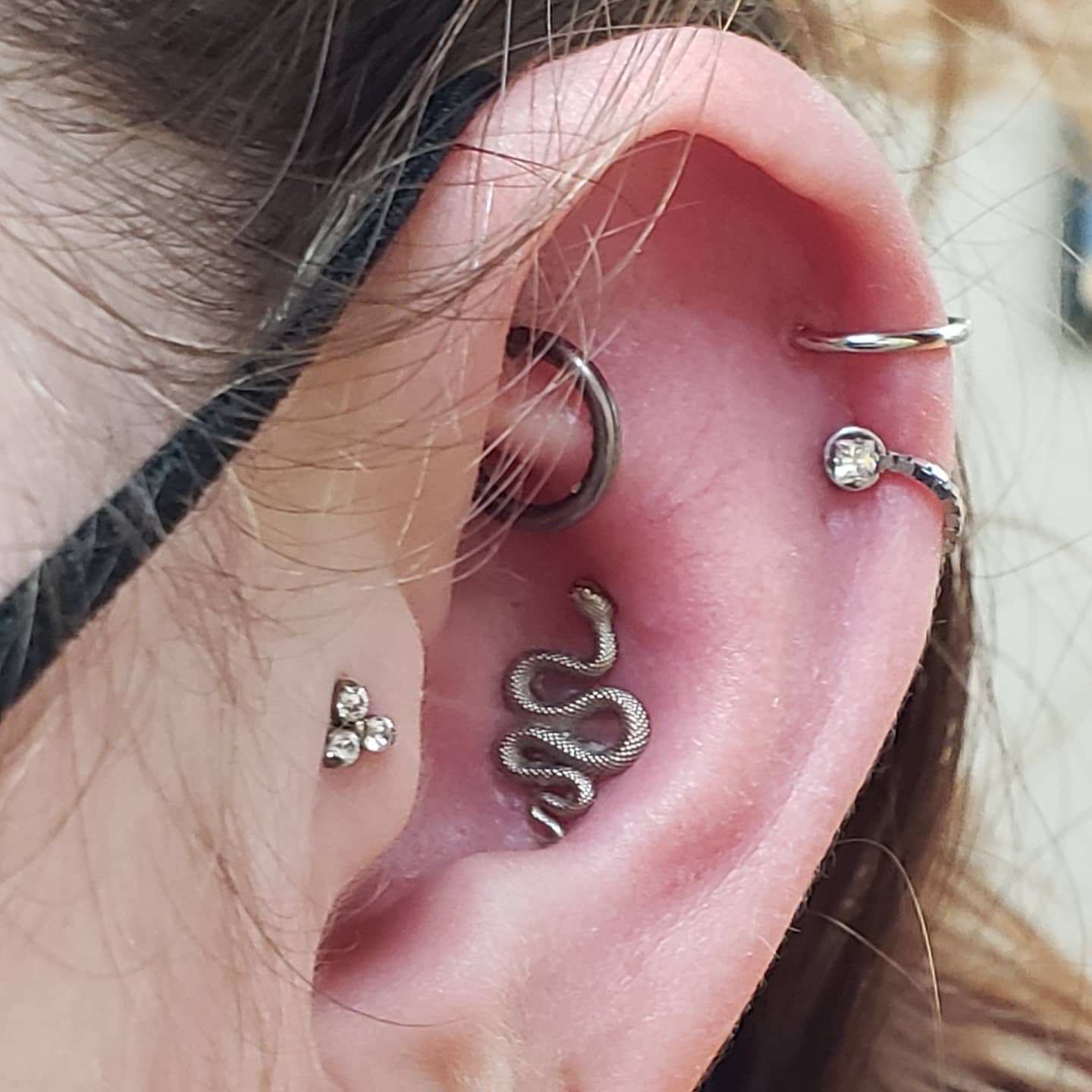 Snake conch piece with stacked helix rings